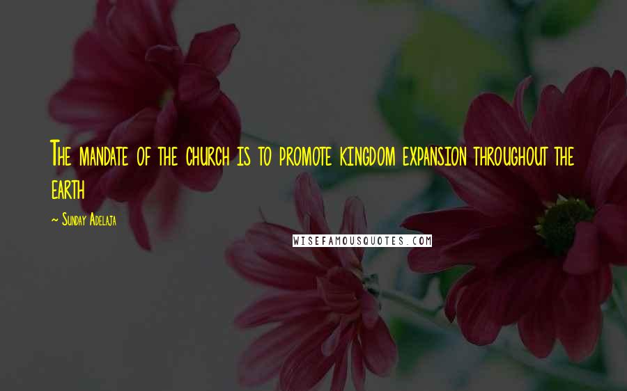 Sunday Adelaja Quotes: The mandate of the church is to promote kingdom expansion throughout the earth