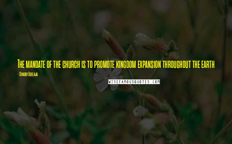 Sunday Adelaja Quotes: The mandate of the church is to promote kingdom expansion throughout the earth