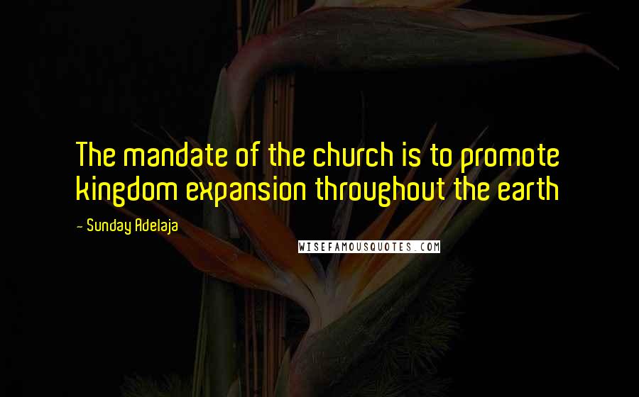 Sunday Adelaja Quotes: The mandate of the church is to promote kingdom expansion throughout the earth
