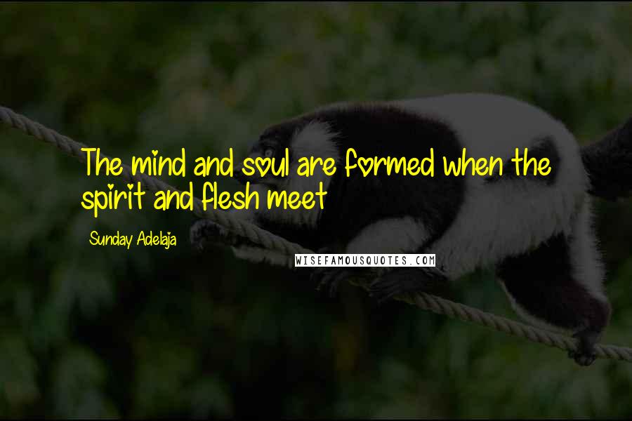 Sunday Adelaja Quotes: The mind and soul are formed when the spirit and flesh meet