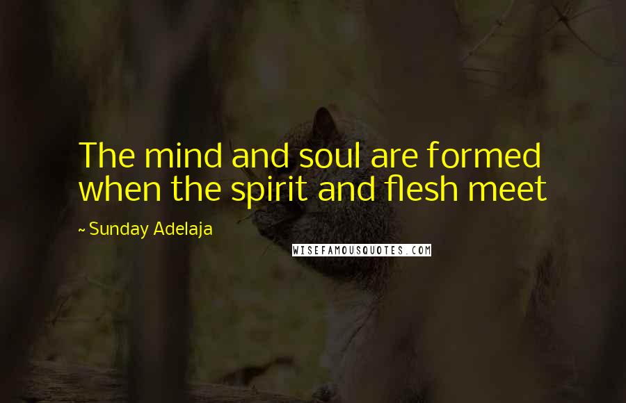 Sunday Adelaja Quotes: The mind and soul are formed when the spirit and flesh meet