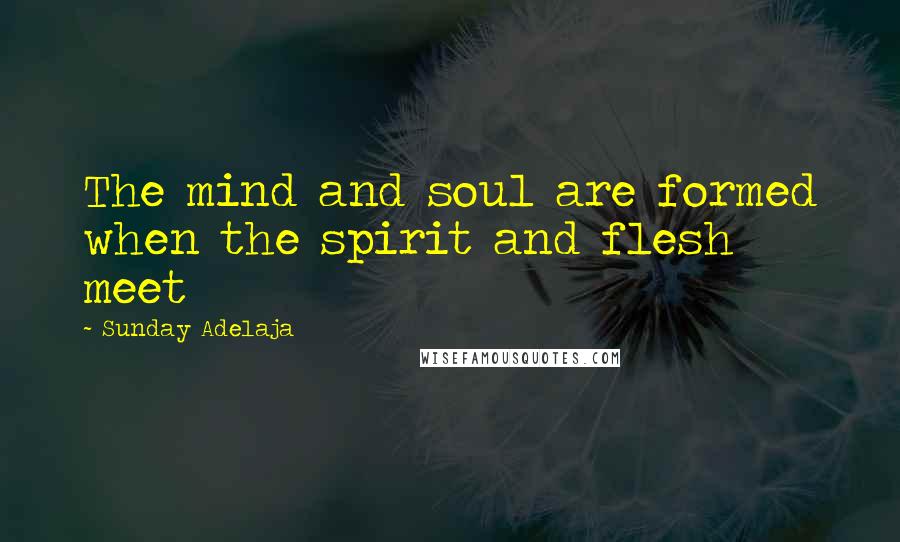 Sunday Adelaja Quotes: The mind and soul are formed when the spirit and flesh meet