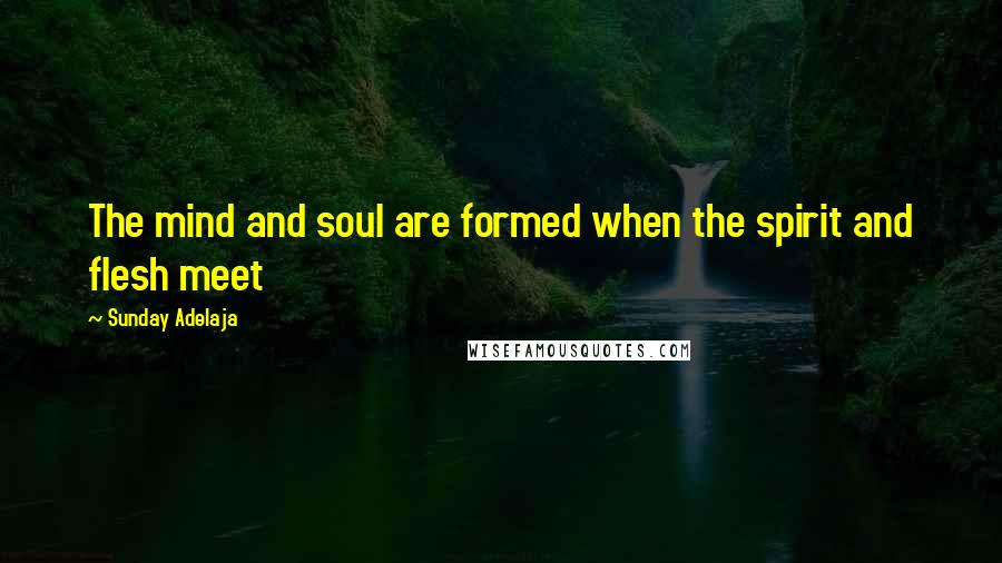 Sunday Adelaja Quotes: The mind and soul are formed when the spirit and flesh meet