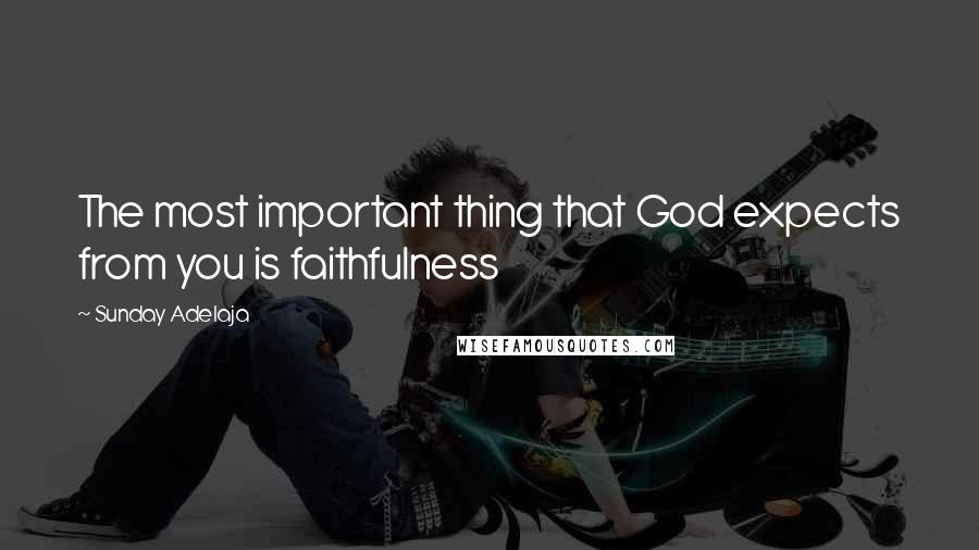 Sunday Adelaja Quotes: The most important thing that God expects from you is faithfulness