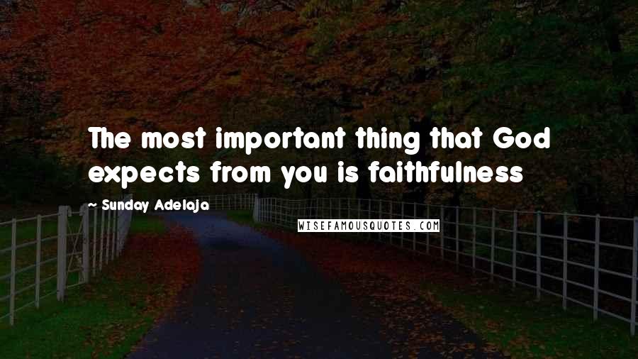 Sunday Adelaja Quotes: The most important thing that God expects from you is faithfulness