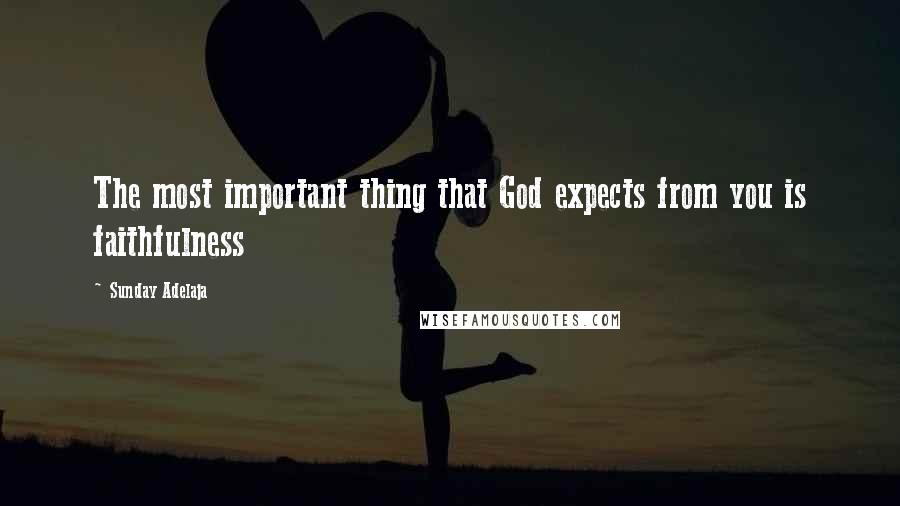 Sunday Adelaja Quotes: The most important thing that God expects from you is faithfulness