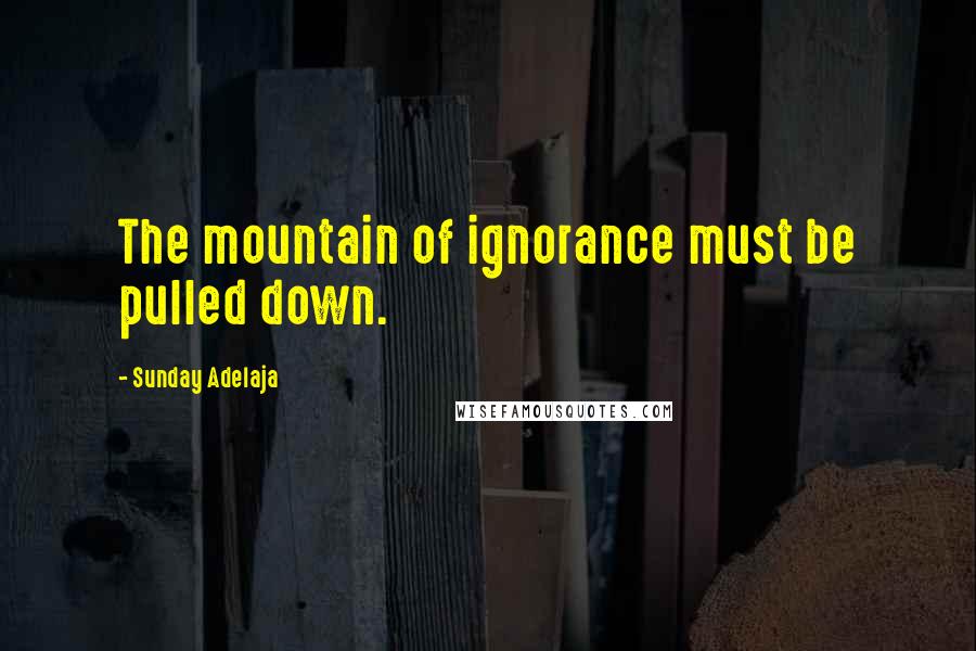 Sunday Adelaja Quotes: The mountain of ignorance must be pulled down.