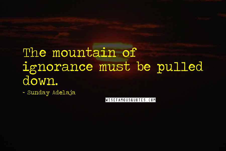 Sunday Adelaja Quotes: The mountain of ignorance must be pulled down.