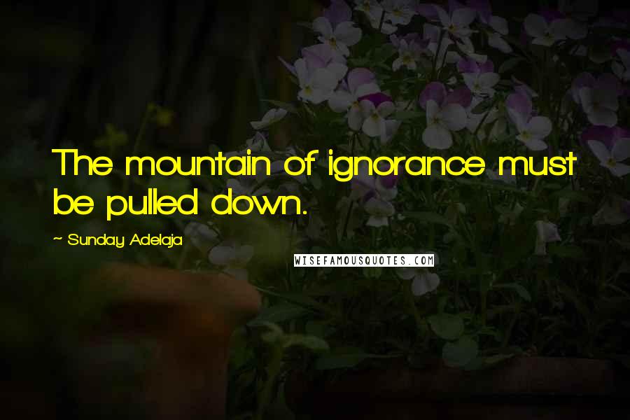 Sunday Adelaja Quotes: The mountain of ignorance must be pulled down.