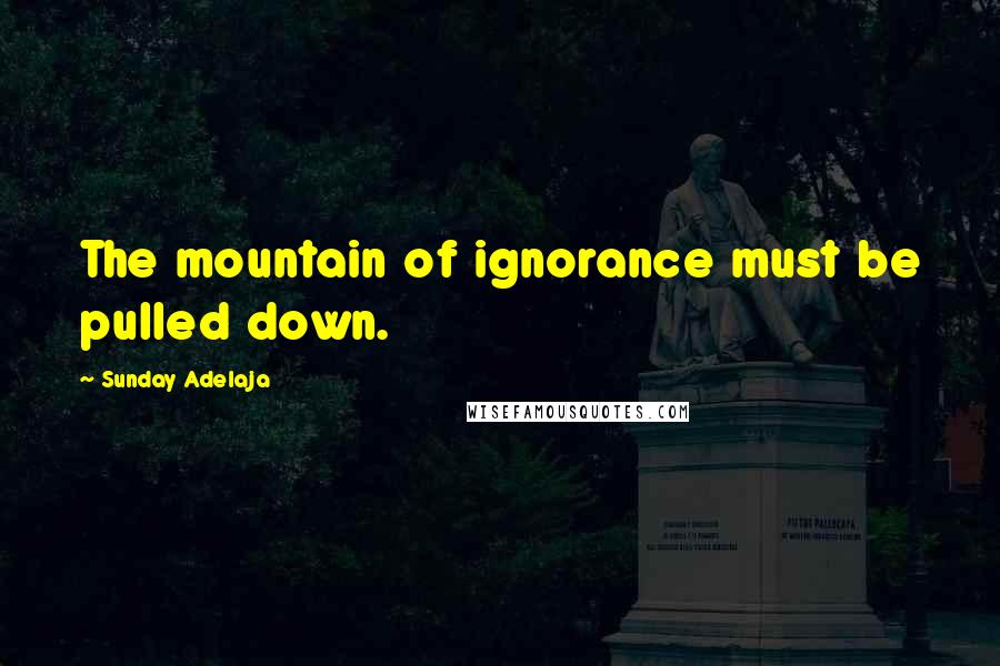 Sunday Adelaja Quotes: The mountain of ignorance must be pulled down.