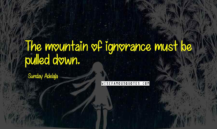 Sunday Adelaja Quotes: The mountain of ignorance must be pulled down.