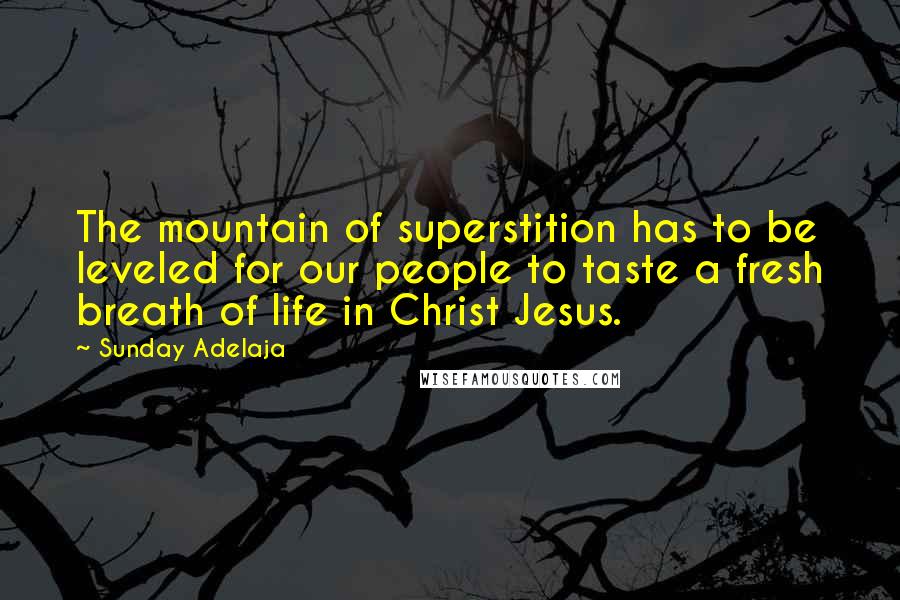 Sunday Adelaja Quotes: The mountain of superstition has to be leveled for our people to taste a fresh breath of life in Christ Jesus.