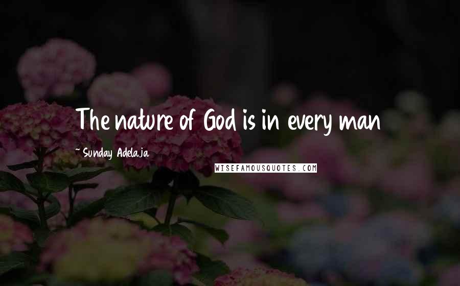 Sunday Adelaja Quotes: The nature of God is in every man