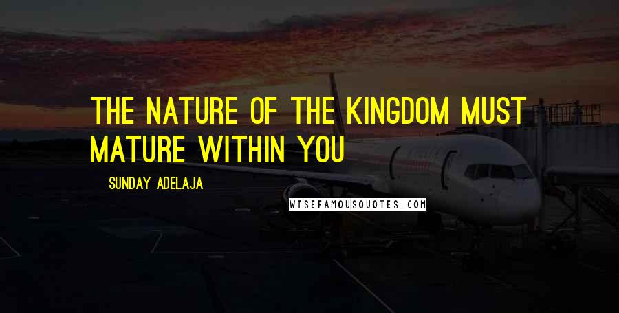 Sunday Adelaja Quotes: The nature of the kingdom must mature within you