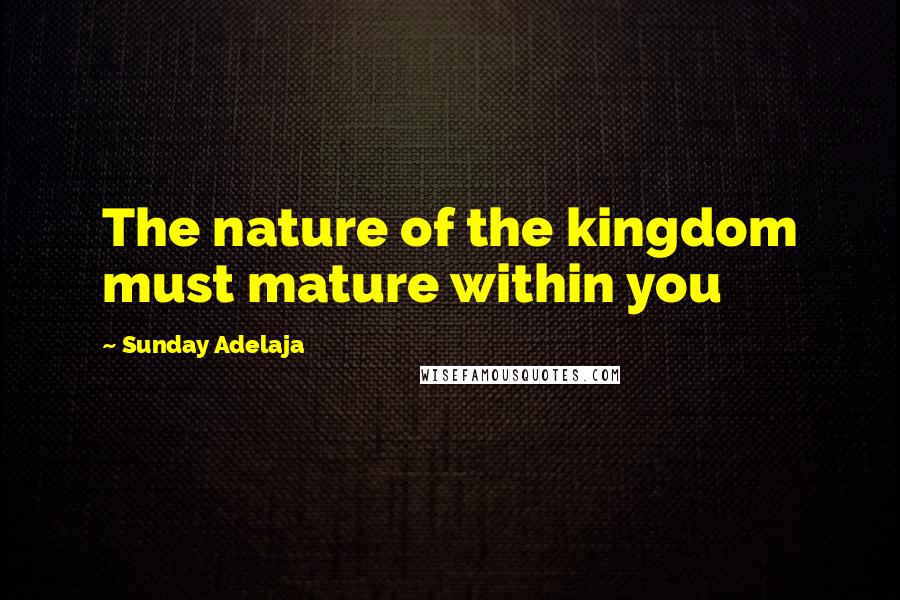 Sunday Adelaja Quotes: The nature of the kingdom must mature within you