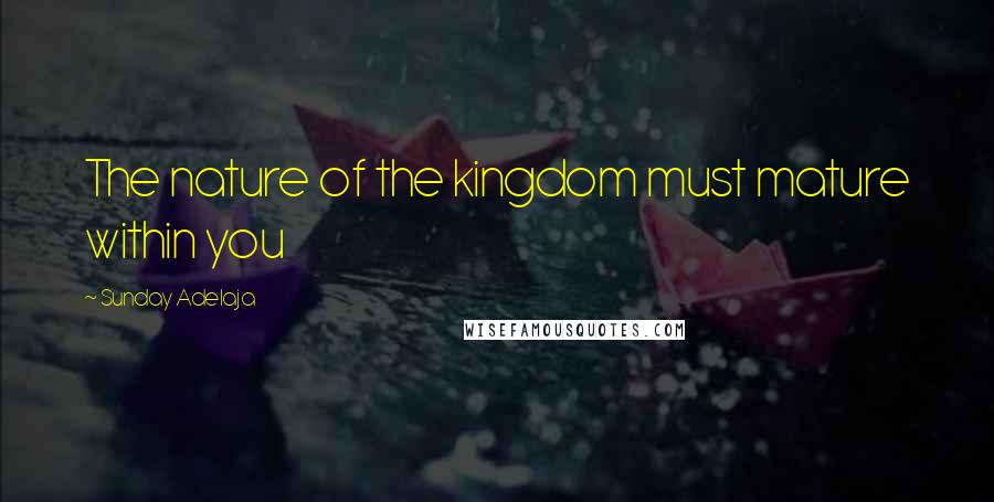 Sunday Adelaja Quotes: The nature of the kingdom must mature within you