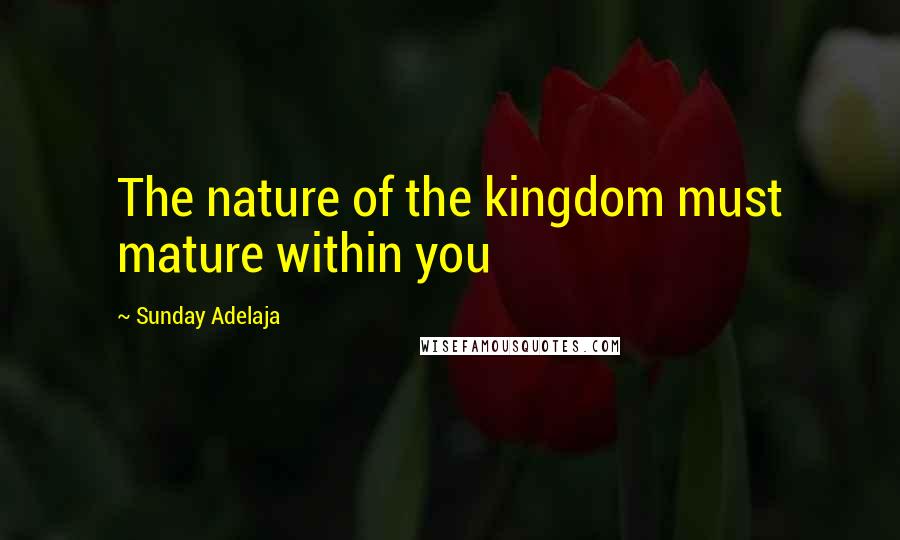 Sunday Adelaja Quotes: The nature of the kingdom must mature within you