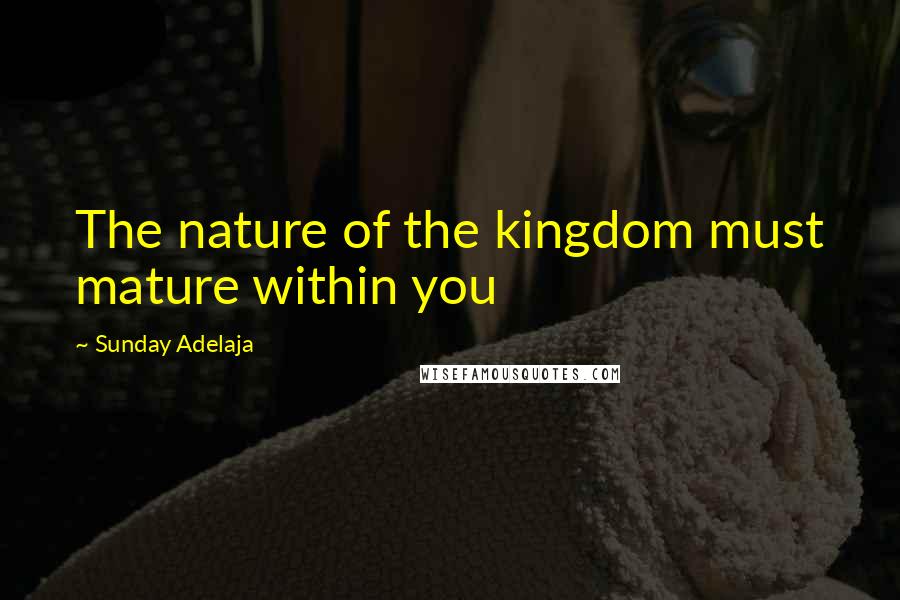 Sunday Adelaja Quotes: The nature of the kingdom must mature within you