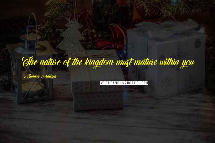 Sunday Adelaja Quotes: The nature of the kingdom must mature within you