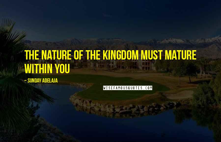 Sunday Adelaja Quotes: The nature of the kingdom must mature within you