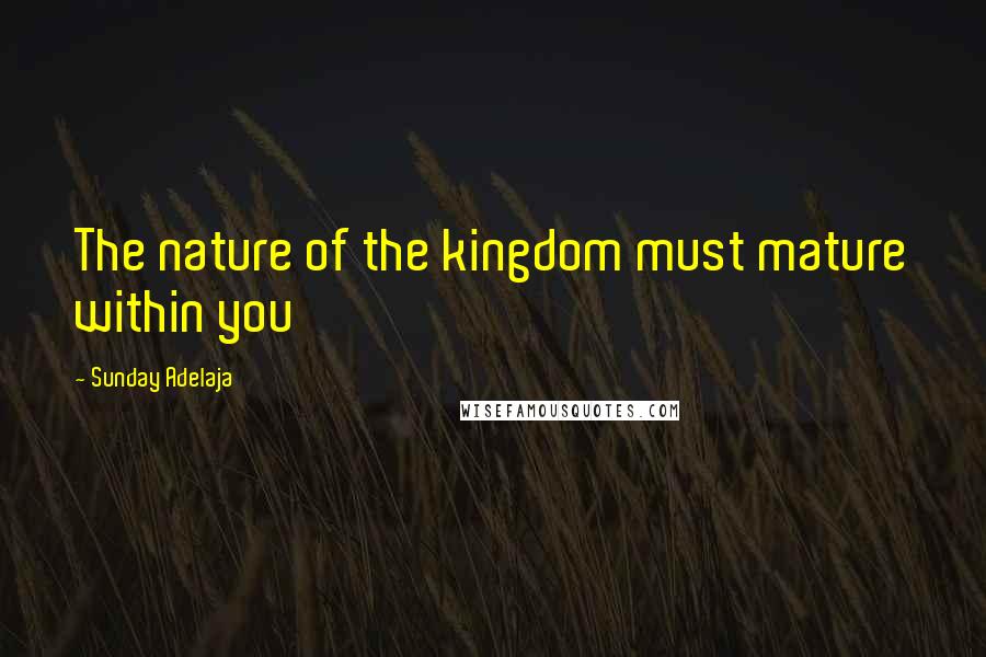 Sunday Adelaja Quotes: The nature of the kingdom must mature within you