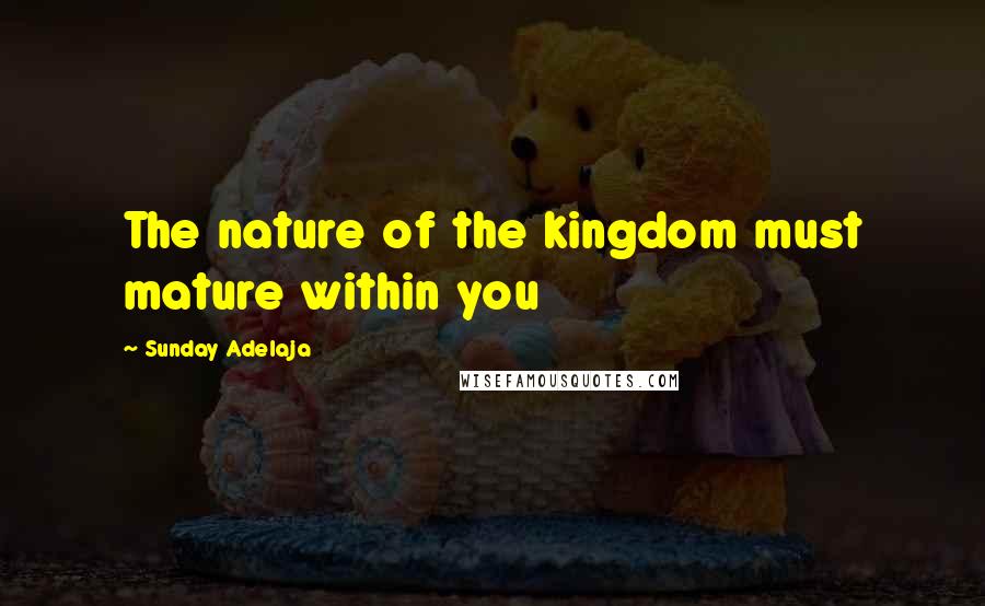 Sunday Adelaja Quotes: The nature of the kingdom must mature within you