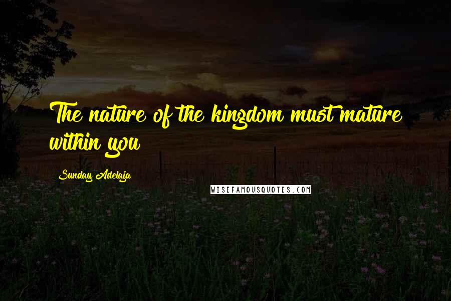 Sunday Adelaja Quotes: The nature of the kingdom must mature within you