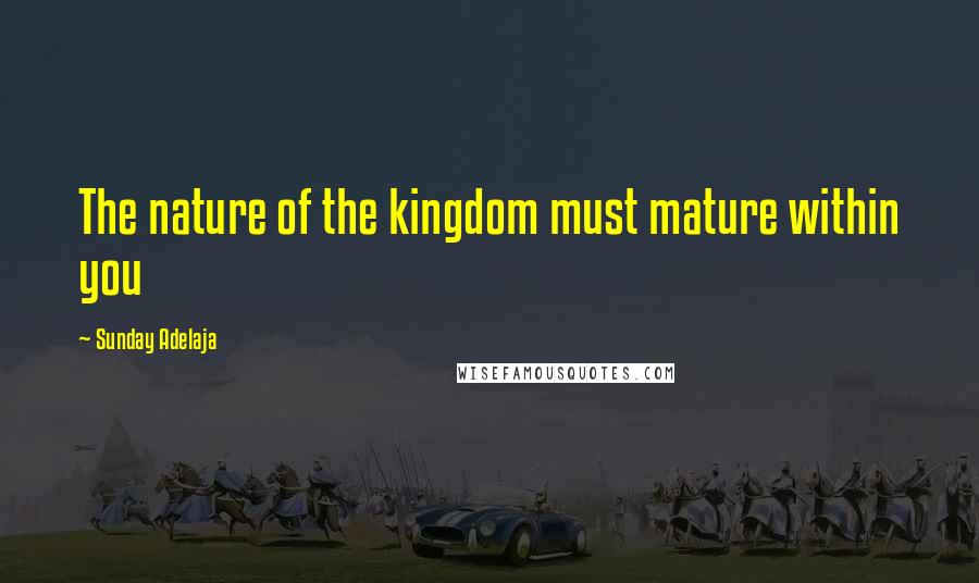 Sunday Adelaja Quotes: The nature of the kingdom must mature within you