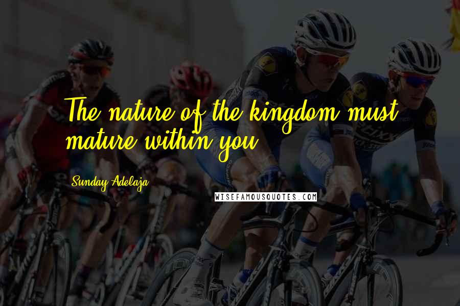 Sunday Adelaja Quotes: The nature of the kingdom must mature within you
