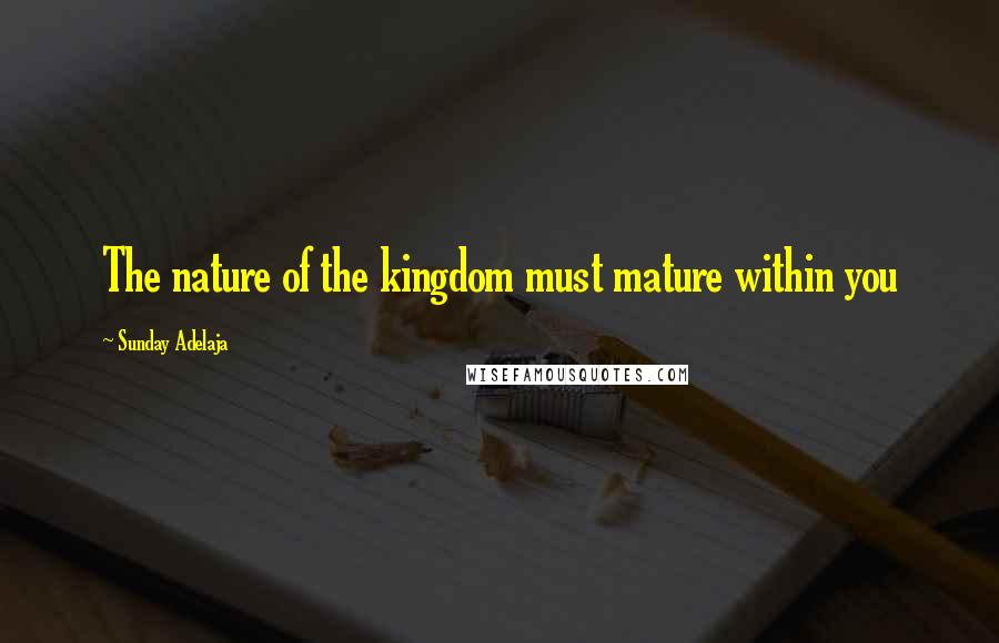 Sunday Adelaja Quotes: The nature of the kingdom must mature within you