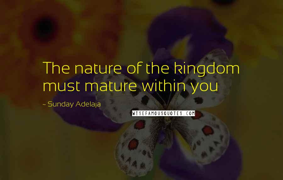 Sunday Adelaja Quotes: The nature of the kingdom must mature within you