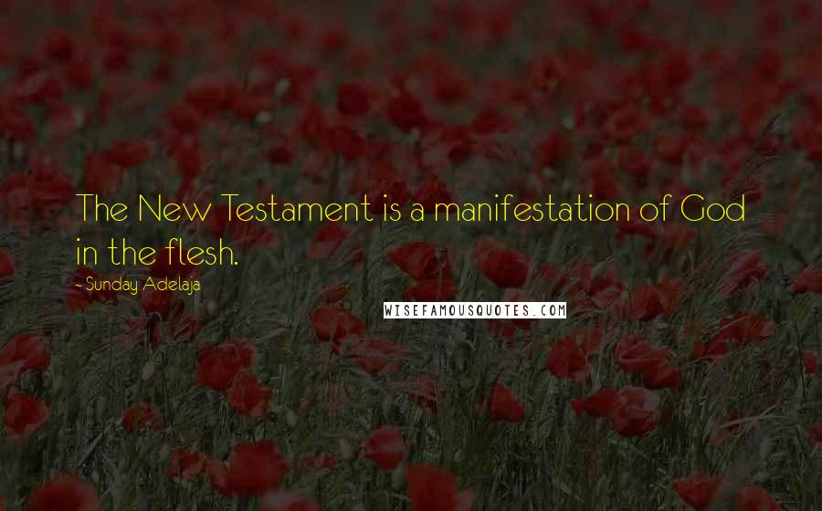 Sunday Adelaja Quotes: The New Testament is a manifestation of God in the flesh.