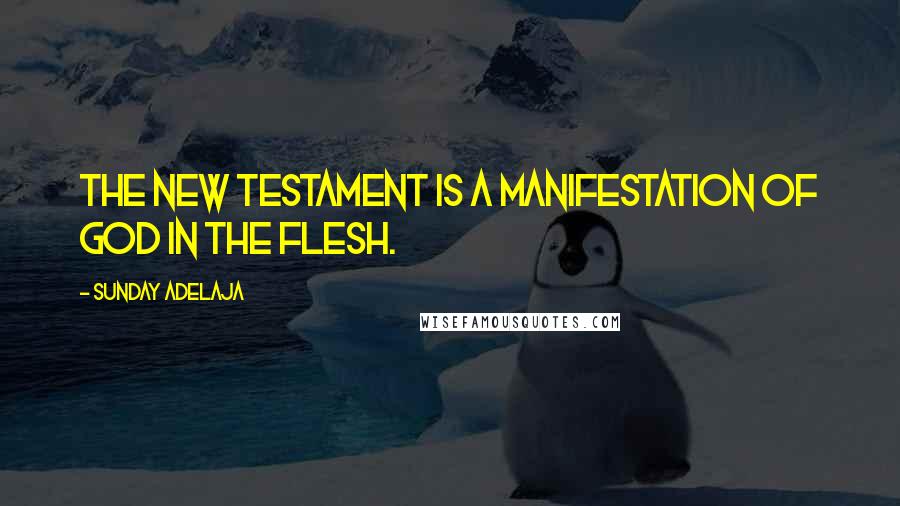 Sunday Adelaja Quotes: The New Testament is a manifestation of God in the flesh.