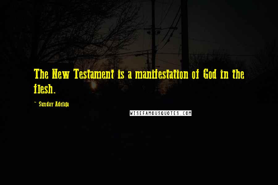 Sunday Adelaja Quotes: The New Testament is a manifestation of God in the flesh.
