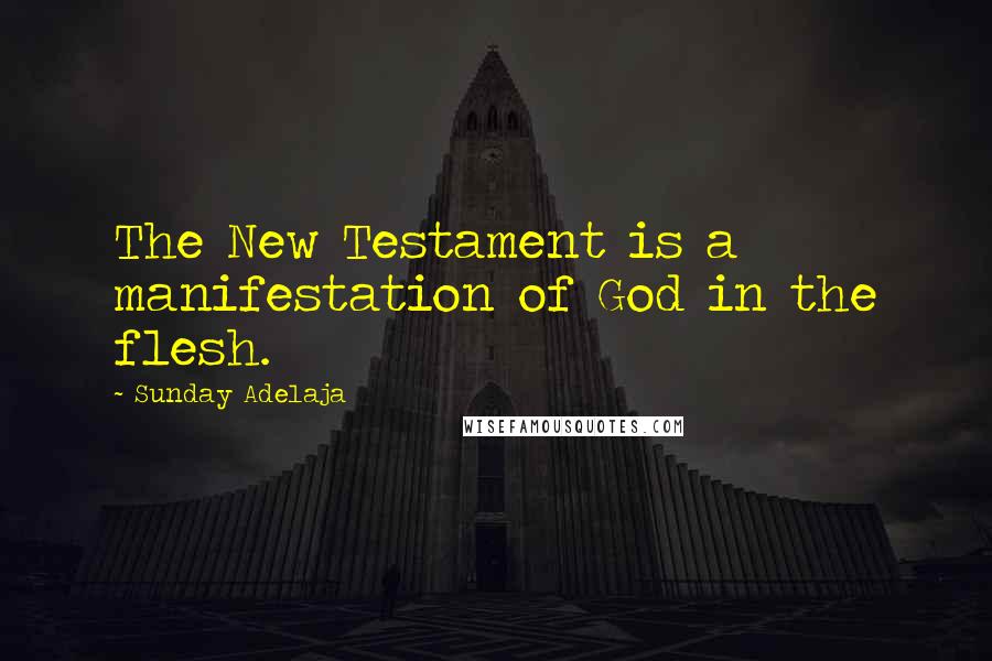 Sunday Adelaja Quotes: The New Testament is a manifestation of God in the flesh.