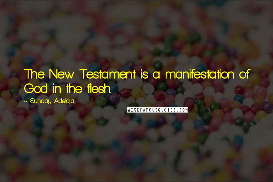 Sunday Adelaja Quotes: The New Testament is a manifestation of God in the flesh.