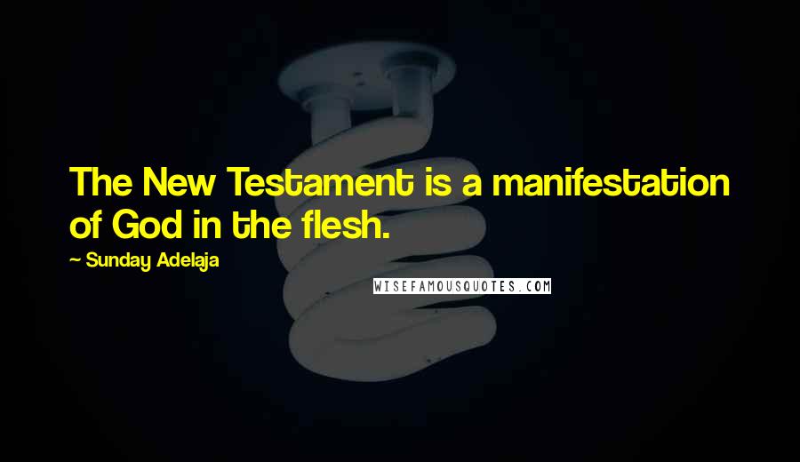 Sunday Adelaja Quotes: The New Testament is a manifestation of God in the flesh.