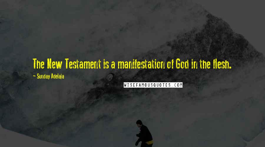 Sunday Adelaja Quotes: The New Testament is a manifestation of God in the flesh.