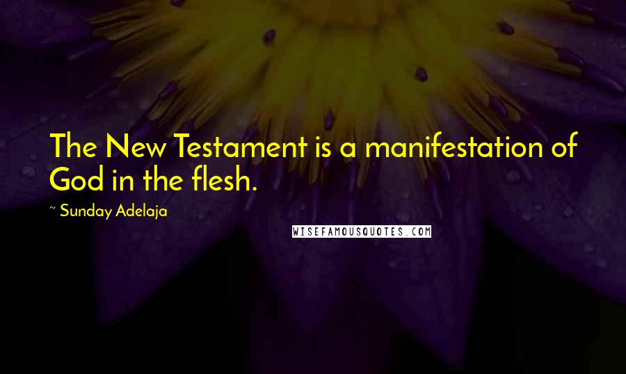 Sunday Adelaja Quotes: The New Testament is a manifestation of God in the flesh.