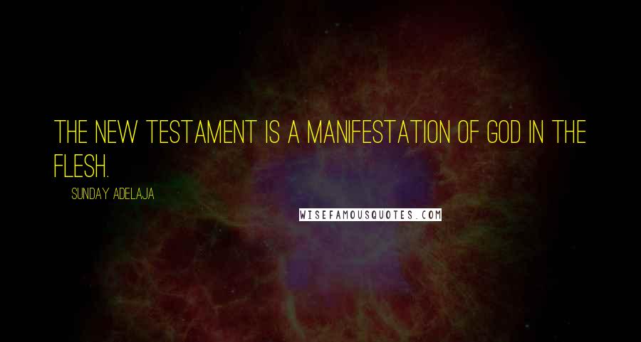 Sunday Adelaja Quotes: The New Testament is a manifestation of God in the flesh.