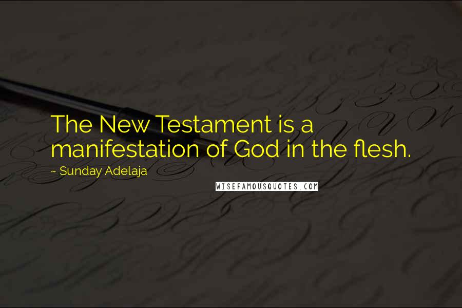 Sunday Adelaja Quotes: The New Testament is a manifestation of God in the flesh.