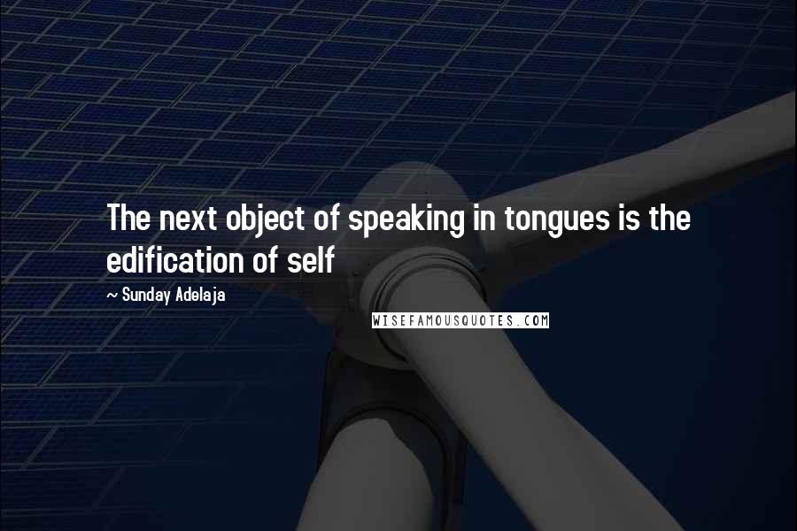 Sunday Adelaja Quotes: The next object of speaking in tongues is the edification of self