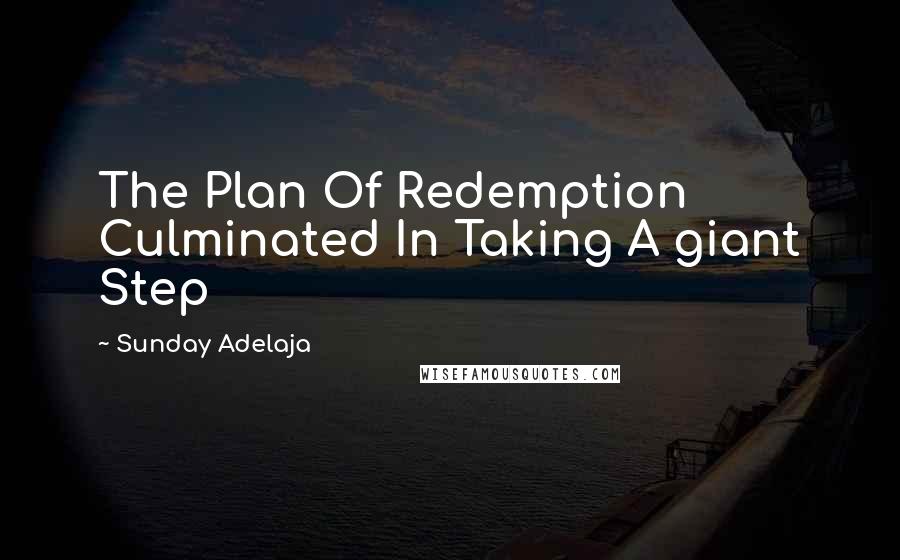 Sunday Adelaja Quotes: The Plan Of Redemption Culminated In Taking A giant Step