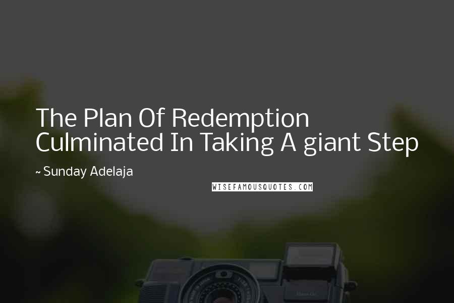 Sunday Adelaja Quotes: The Plan Of Redemption Culminated In Taking A giant Step