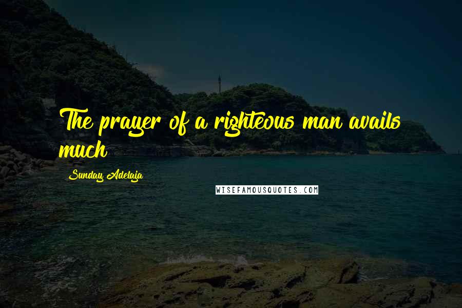 Sunday Adelaja Quotes: The prayer of a righteous man avails much