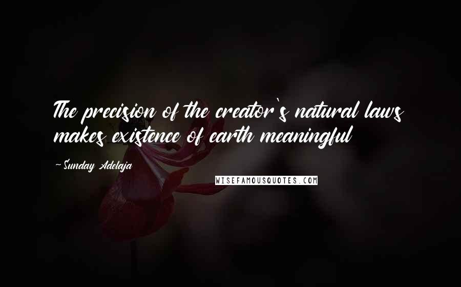 Sunday Adelaja Quotes: The precision of the creator's natural laws makes existence of earth meaningful