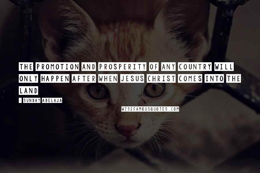 Sunday Adelaja Quotes: The promotion and prosperity of any country will only happen after when Jesus Christ comes into the land