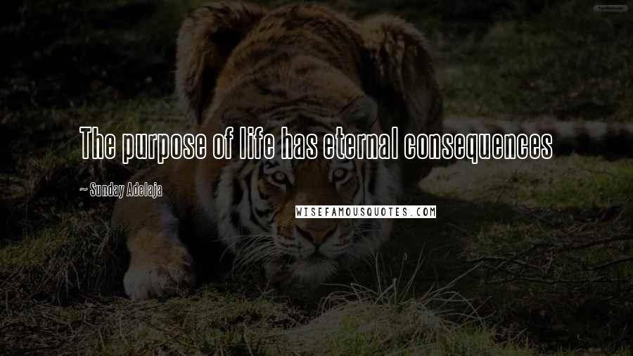 Sunday Adelaja Quotes: The purpose of life has eternal consequences