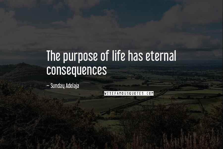 Sunday Adelaja Quotes: The purpose of life has eternal consequences