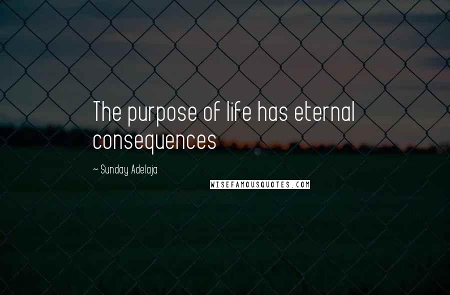 Sunday Adelaja Quotes: The purpose of life has eternal consequences